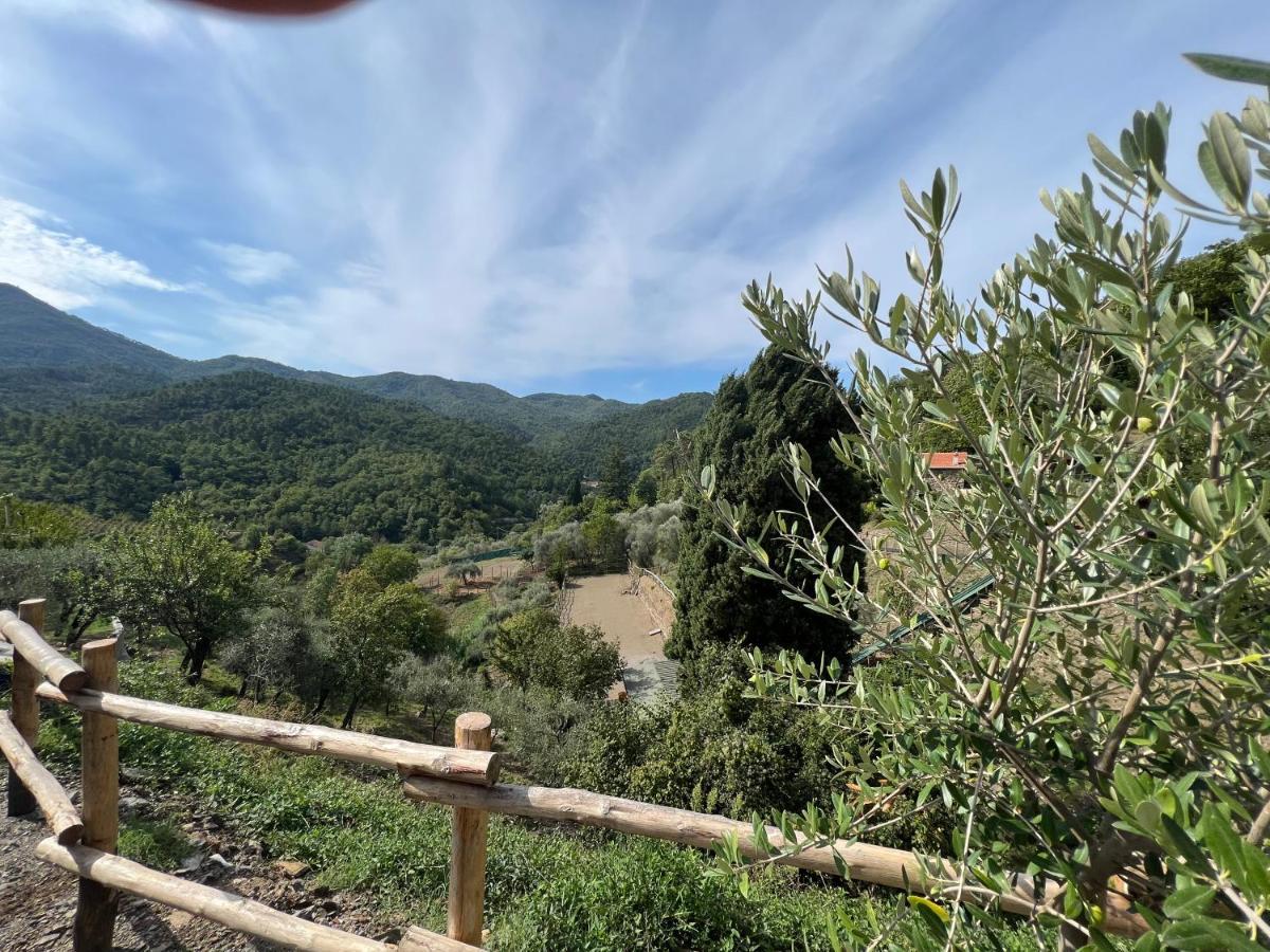 Agriturismo Torsivi Castiglione Chiavarese Kültér fotó