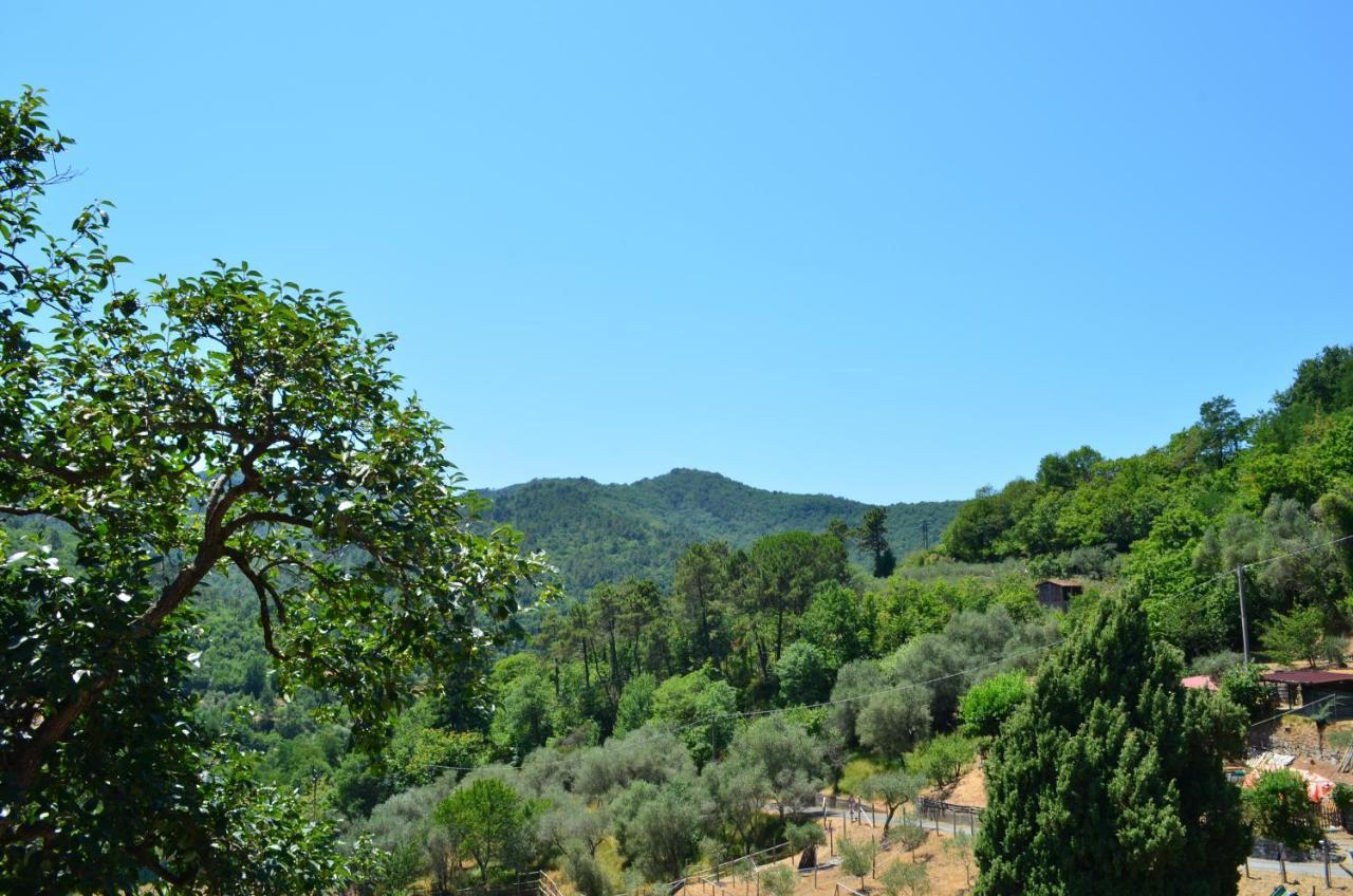 Agriturismo Torsivi Castiglione Chiavarese Kültér fotó