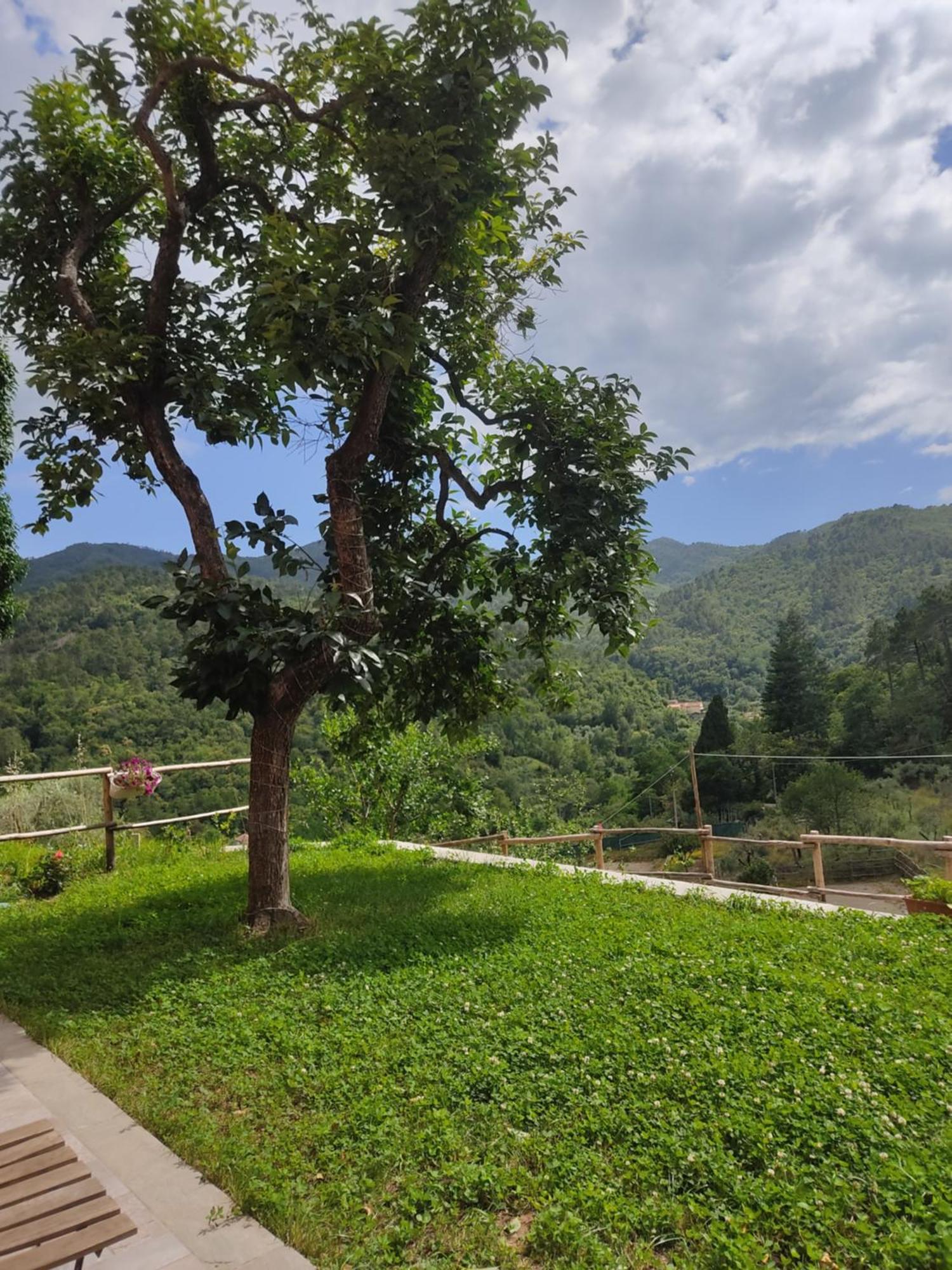 Agriturismo Torsivi Castiglione Chiavarese Kültér fotó